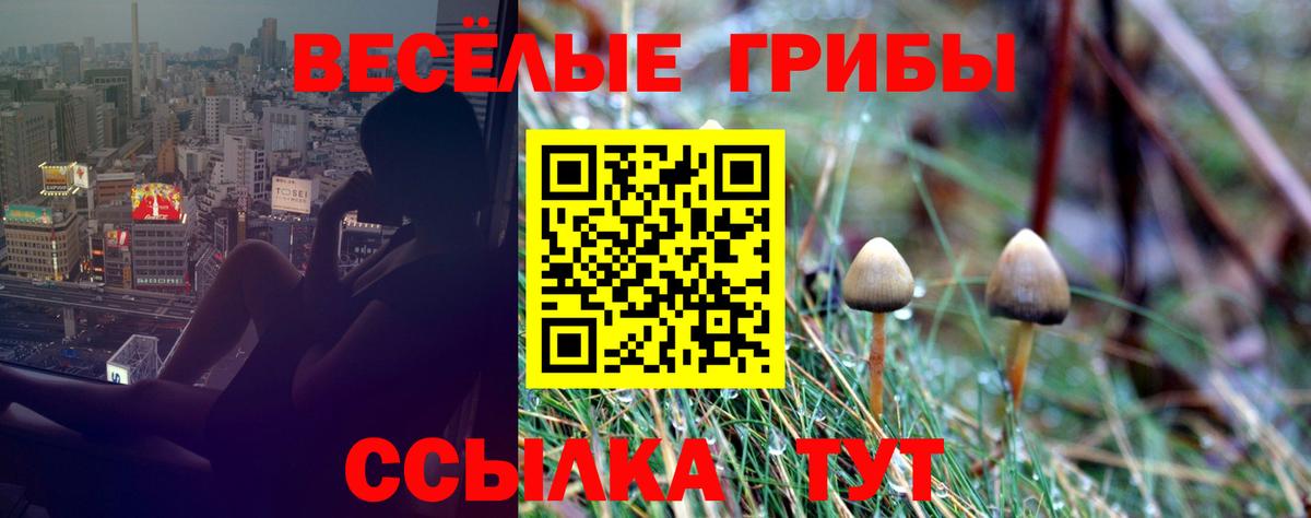 Дятьково  Галлюциногенные грибы прущие грибы  Вход с VPN 